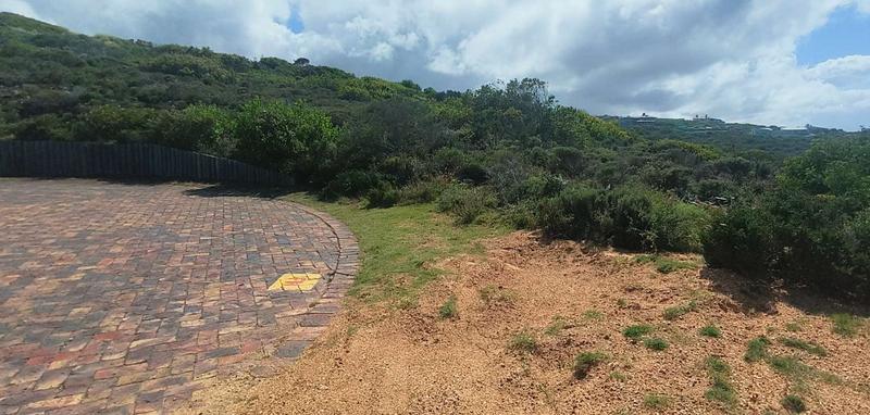0 Bedroom Property for Sale in Moquini Coastal Estate Western Cape